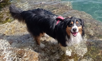 Kundin Melanie mit Raya