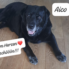 Kundin Tarita mit Aico